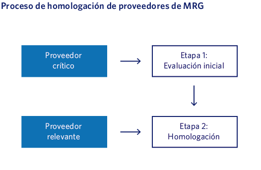 Proceso de homologación de proveedores de MRG