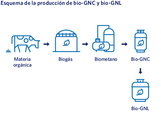 Esquema de la producción de bio-GNC y bio-GNL